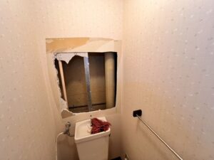トイレの壁を開けた状態