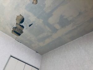 クロスを剥がした状態