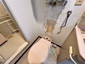 タンクを取り外した状態のトイレ